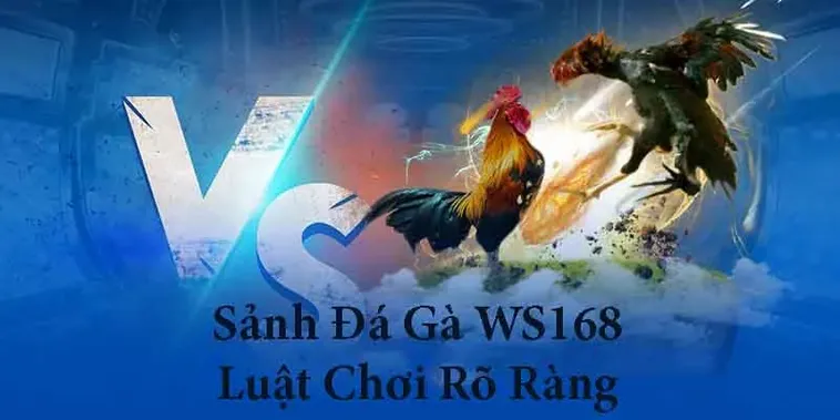 Bí Quyết Chơi Đá Gà WS168 Tại 98Win Luôn Thắng Từ Cao Thủ 2 Bí Quyết Chơi Đá Gà WS168 Tại 98Win Luôn Thắng Từ Cao Thủ