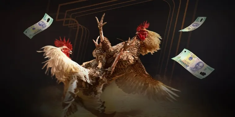 Đá Gà 98Win 1 Đá Gà 98Win Trực Tiếp Sàn Đấu Nảy Lửa Cược Ngay